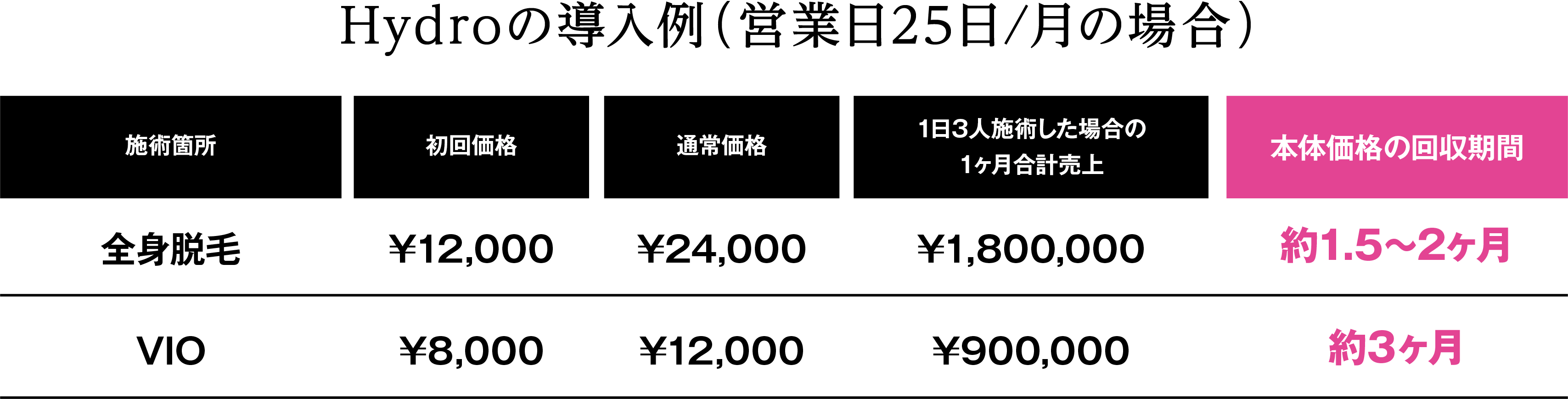 Hydroの導入例（営業日25日/月の場合）